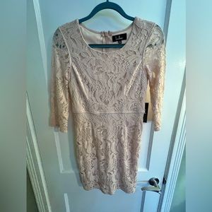 Pink Lace Lulus Mini Dress